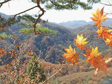 全面推进中华民族伟大复兴（全面推进中华民族伟大复兴研讨材料）